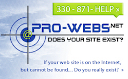 prowebs's profile picture. Does Your Site Exist?