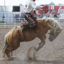 Austin Westbrook - @AustinWestbroo3 - Twitter