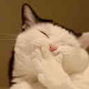 Beverley Gardner - @mensmell - Twitter