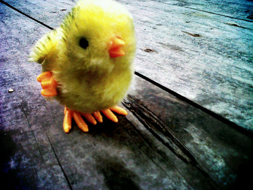 pinaytypist's profile picture. homebased general/medical transcriber.  Looking for clients who can help me grow my small homebased business.