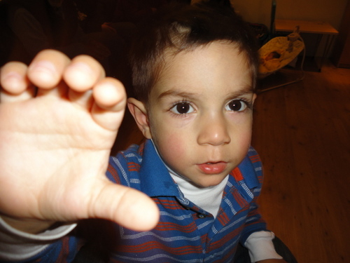 paletazz73's profile picture. 