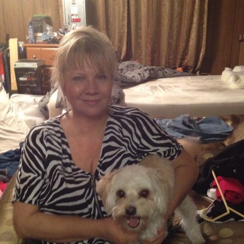 discolvr's profile picture. 