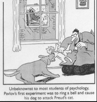 GatoDeFreud's profile picture. Blog sobre actualidad y psicoanálisis.