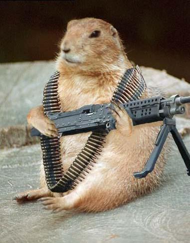 sperbie33's profile picture. 