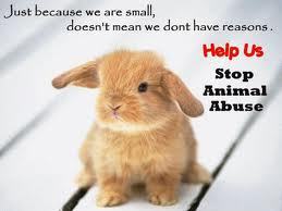 Follow us if you love animals and demand no more animal testing with I.A.A.E.