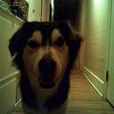 Wes Westbrook - @weseaststream - Twitter