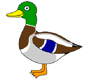 Everything about Duck Calls