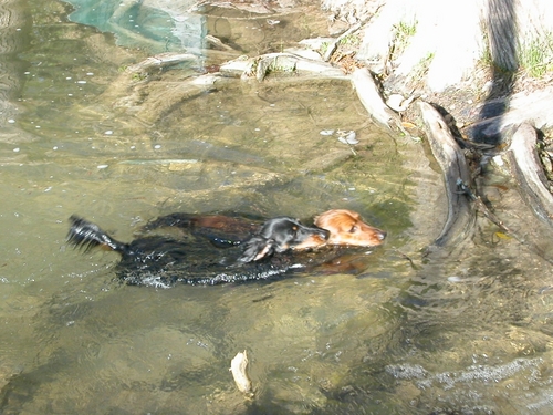 ShellyeArnold's profile picture. Marketing Director at Cisco Systems, nature protector, animal lover, 
kayaker, mountain biker