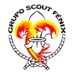 Grupo Scout Fénix (@scoutfenix) Twitter profile photo