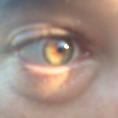 Drivinoneeye's profile picture. don’t follow me