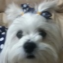 angel person - @lissamj - Twitter