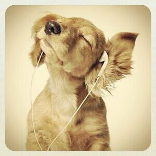 RosyS11's profile picture. 