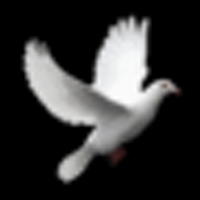 mehmet özcan alkan (@ozcanalkan79) Twitter profile photo