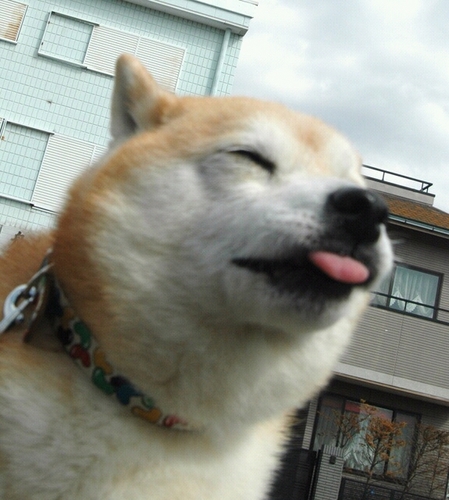 kumikumi0525's profile picture. 東京郊外に住んでまーす(*^^*)