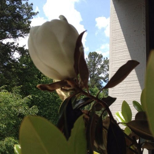 PatriceJarrett's profile picture. 