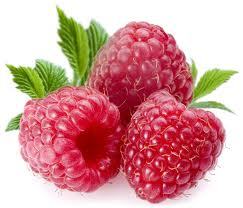 RaspberryDanger Profile Picture