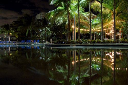 Seef_DC's profile picture. 