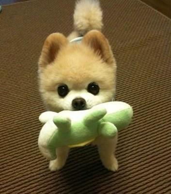 asps4819's profile picture. 學生