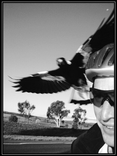 hetharia's profile picture. Husband, father, runner...