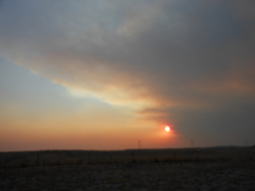 tssntsgr's profile picture. Golfer, meteorologist, Chicago sports fan