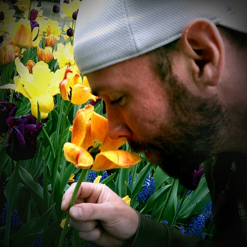 HokieOC's profile picture. I get stuff.