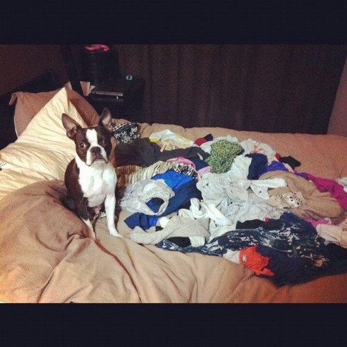 StephWK's profile picture. 