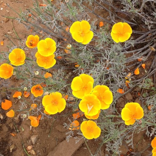 relllin's profile picture. 