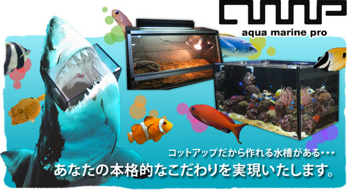 高級ガラス水槽「a.m.p」、爬虫類用オーダーメイドガラスケージ「レプタケース」製作、販売。 お問合せメール info@cot-up.com インスタグラム https://t.co/quf8LxfYGs