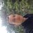 hakan468301's profile image
