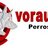 vorausoriginal's profile image
