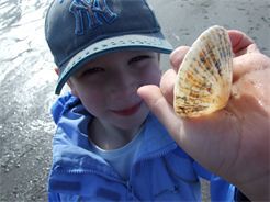 Childcare and Holiday Club in Nottingham
Choices and Decisions in free play at homy touch environment