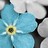 sinhadivya312's profile image