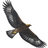 AdnanTraveller's profile image