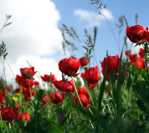 vignesh48305429's profile picture. 