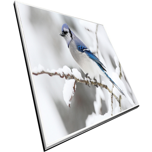 screenreplace67's profile picture. 