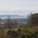 Anna Fitzsimons - @Annafoxfitz - Twitter