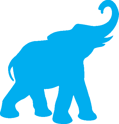 TuftsCycling's profile picture. Tufts University Cycling Team/Club, members of the Eastern Collegiate Cycling Conference (ECCC)