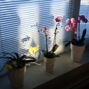 parent doris - @ParentDoris - Twitter