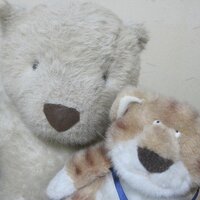 安間清隆 (@kgtmd7878) 's Twitter Profile Photo