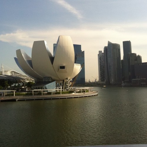 AlpanaThoughts's profile picture. 