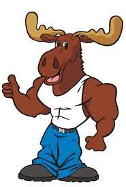 TheMoose