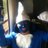 michaelcarr81's profile image