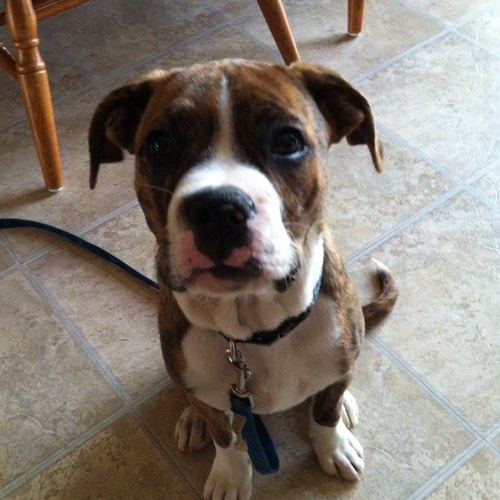 918joeyo's profile picture. Father, craftsman, car enthusiast and the love for knowledge