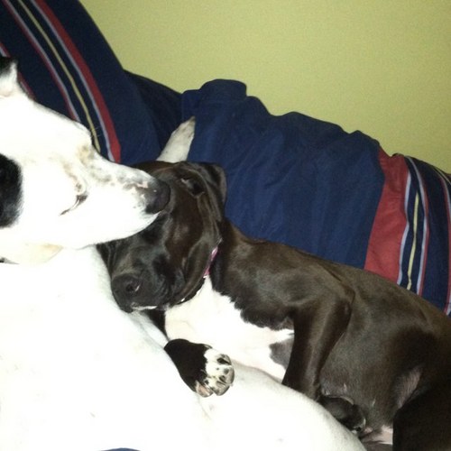 hananiak04's profile picture. 