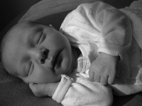 Daisydooloo's profile picture. Nature loving mum of 2. Attachment parenting advocate. Everything breastfeeding. Advice and tips for all mums who need it. Opinions are not medical advice :-)