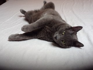 paololedda59's profile picture. 