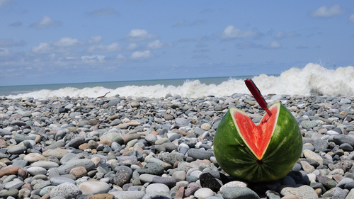 yarrom's profile picture. 