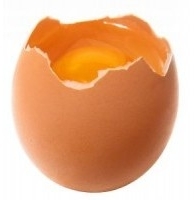 nicolapagani's profile picture. 