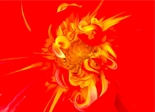 AAAMonde's profile picture. 