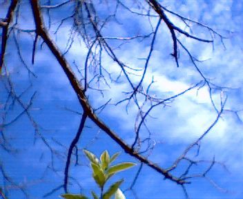 Cris43130's profile picture. Just another American born in a free country and hoping to die in one.